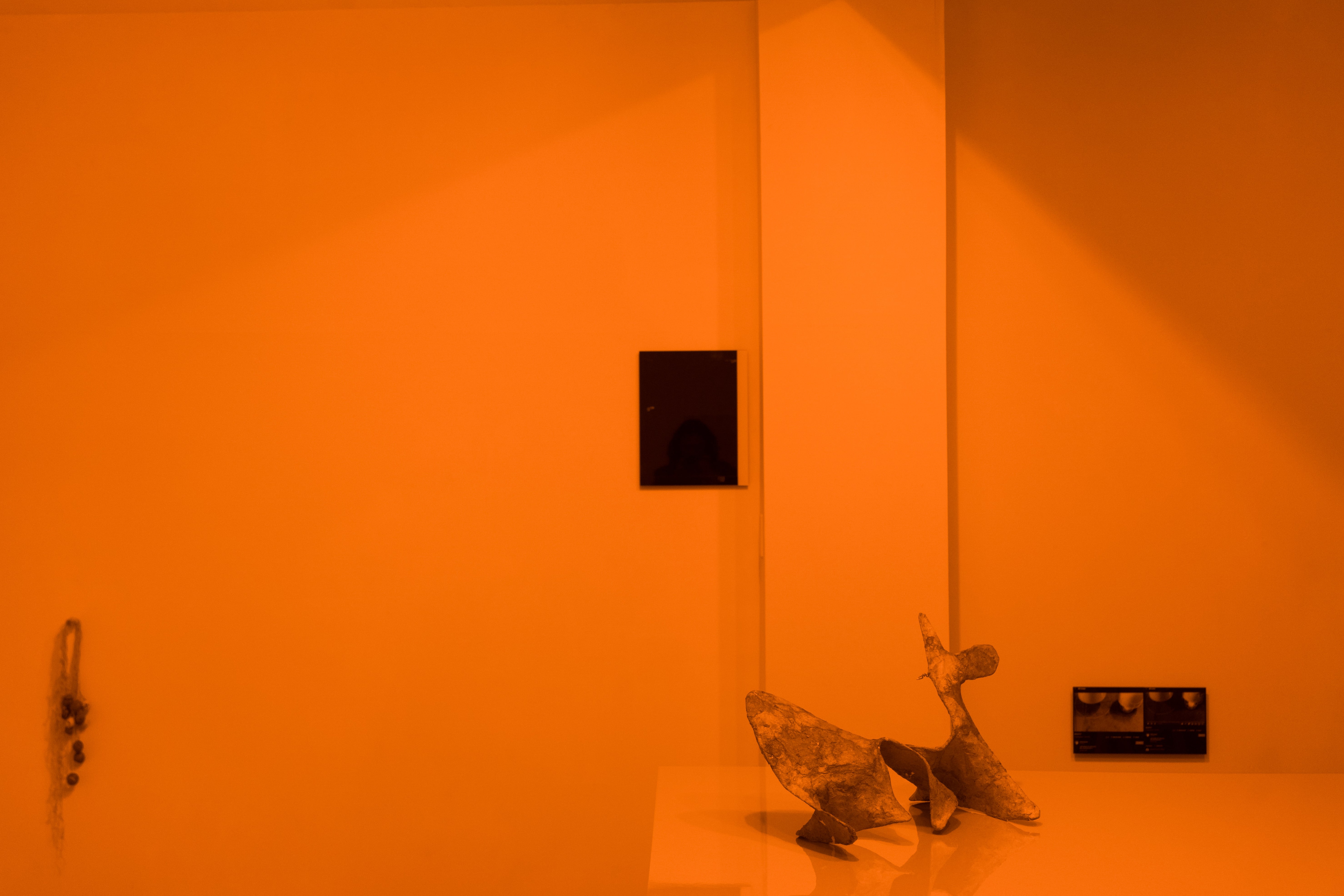 Veduta dell'installazione 'Double Fictions' / 二重の虚構 Same_Projects Tokyo di 'manos & shared praxis', fotografia di Kisshomaru Shimamura