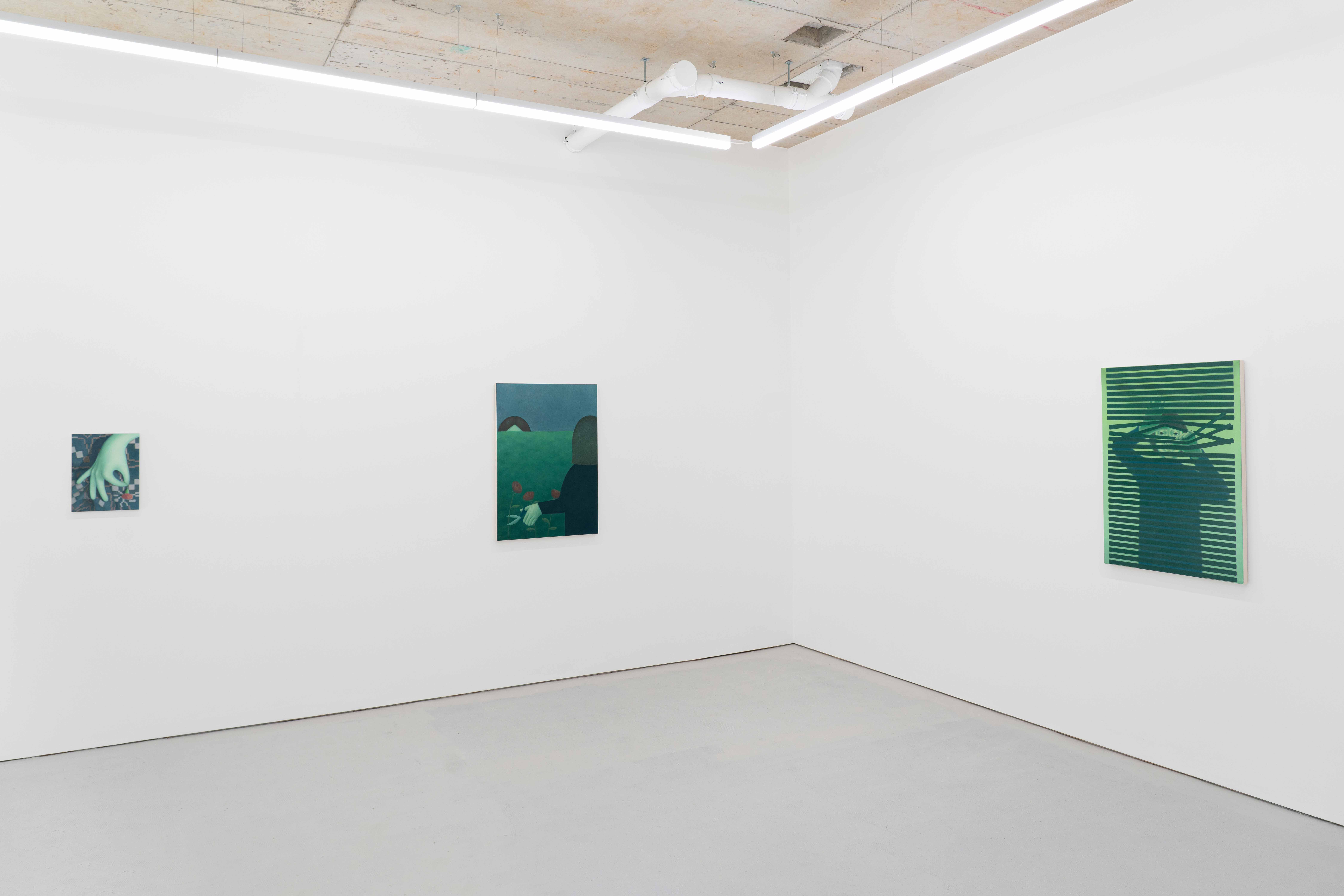 Installation view of Gwen Evans, 2024, William Hine Gallery, London