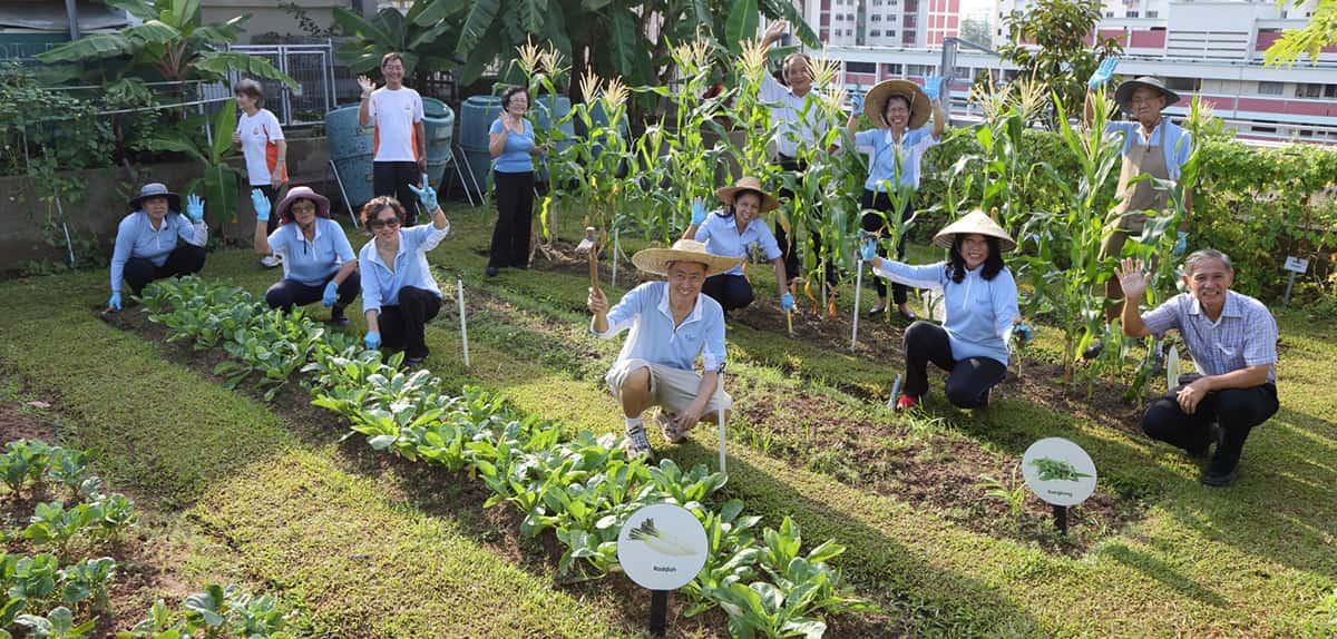 KTPH, Urban farming