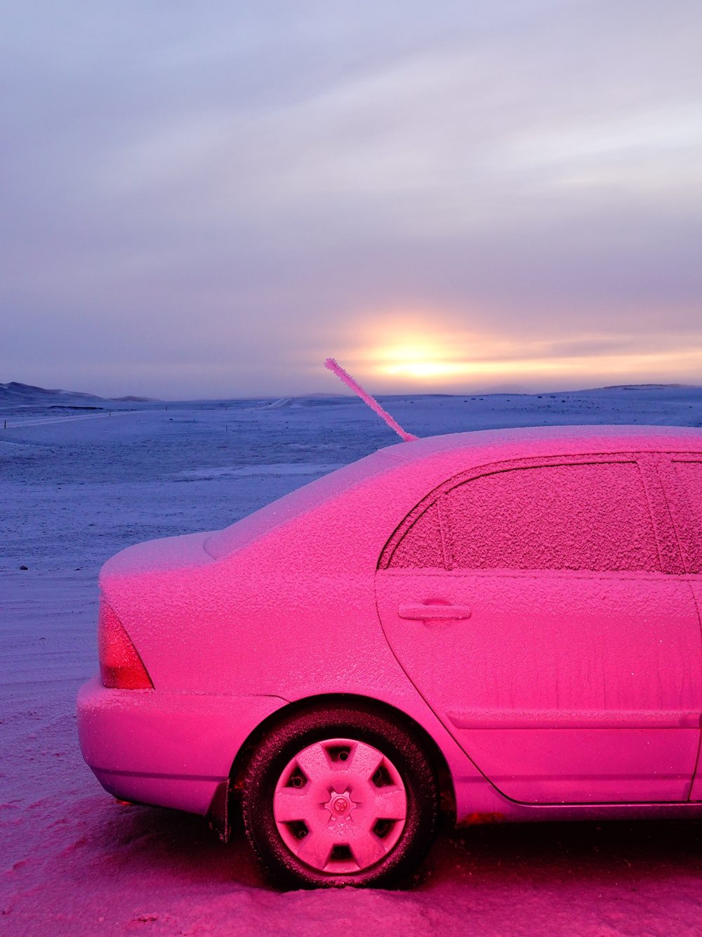 Pink Car and a Sunrise, Sasha Elage 