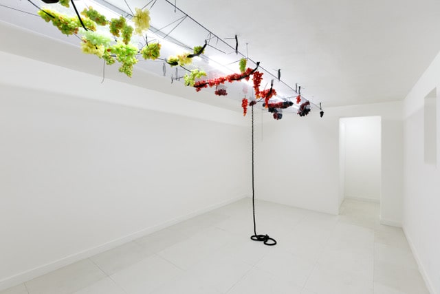 Miriam Laura Leonardi, THE GIFT, curated by Samuel Gross, 2019, plexiglass,exhibition view. The Elevator Palermo. PH Filippo M. Nicoletti