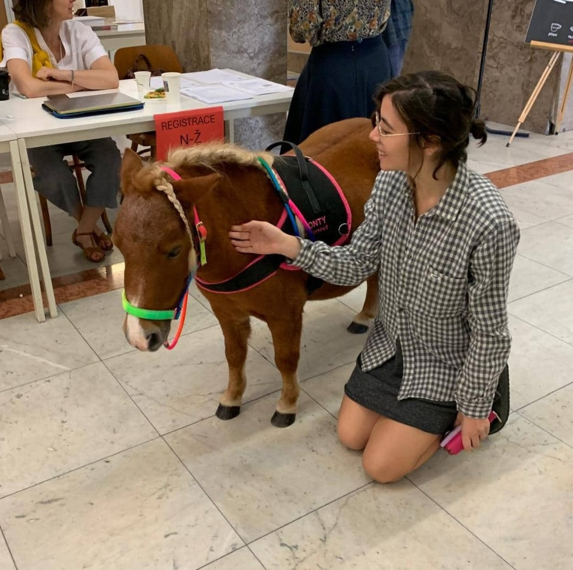 Pony come TAA dopo la sparatoria all’Università di Praga, 2024