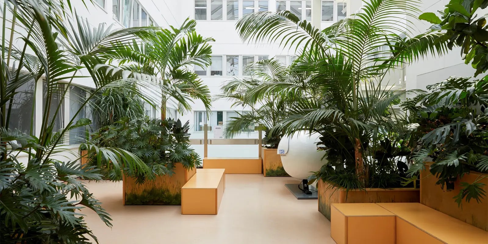 Il respiro della natura negli spazi di cura: dialogo tra Biofilia, Design e Healing Gardens cover