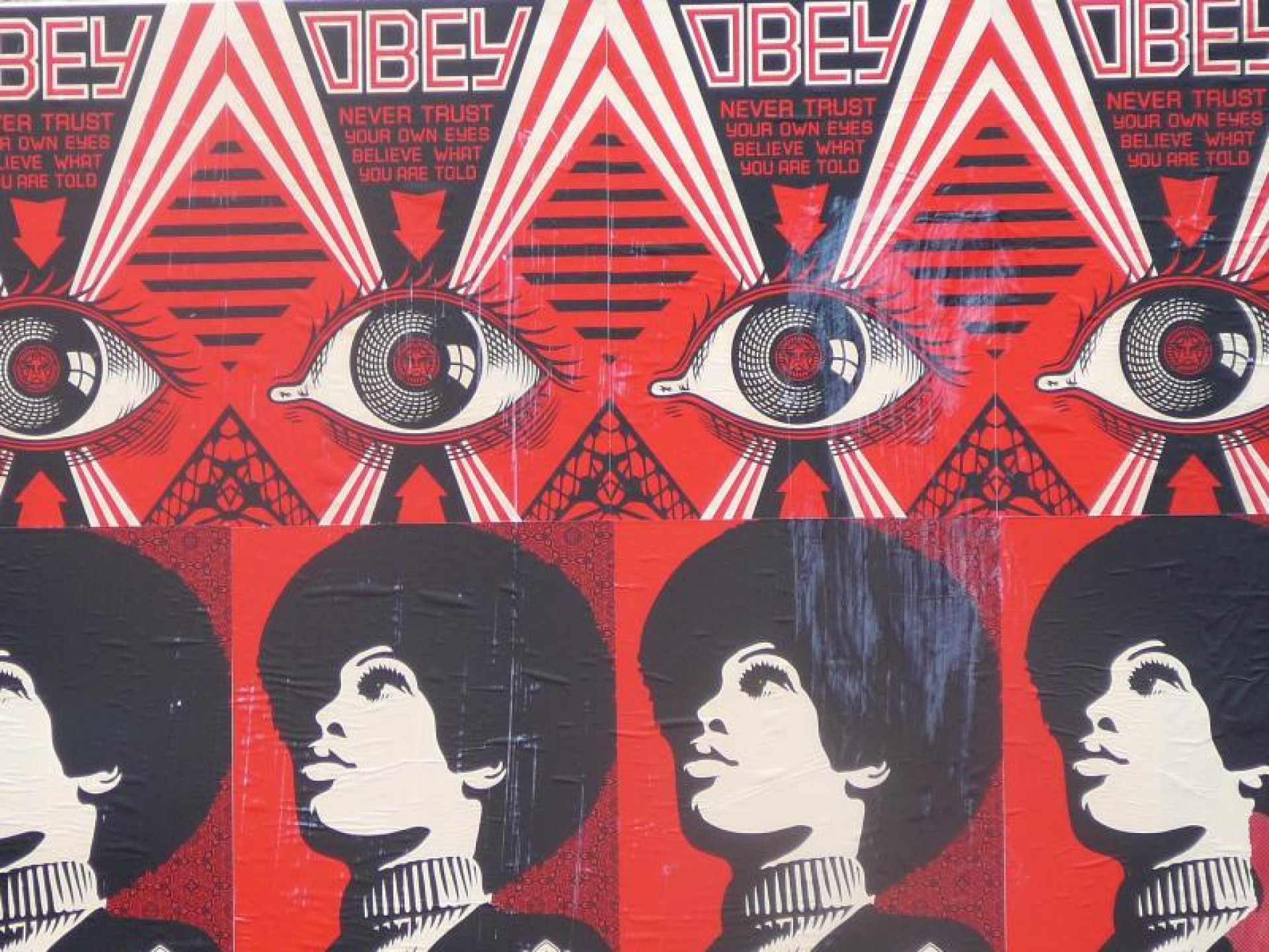 Shepard Fairey (OBEY), Campo Santa Margherita, Venice, Italy