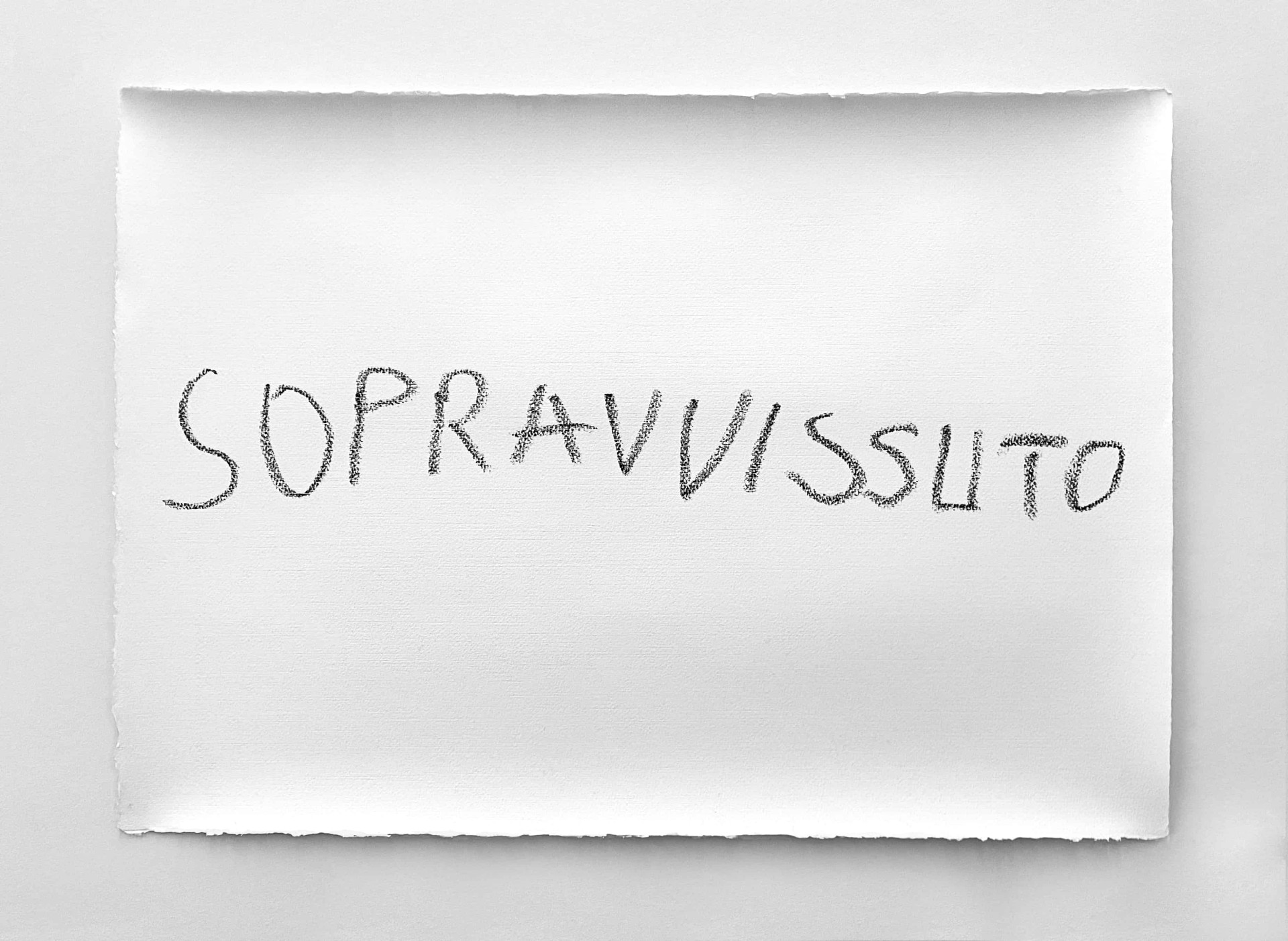 Marcello Maloberti, Sopravvissuto, 2025
