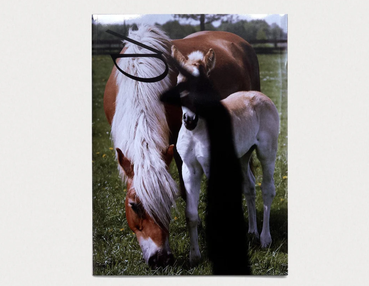 BILL Issue 5 cover